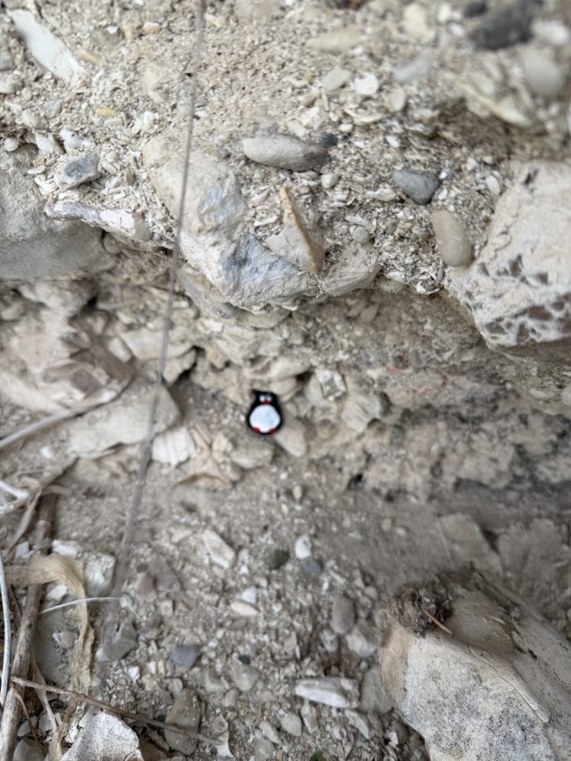 Hand-painted penguin stone #898 hidden at Governor's Beach, Cyprus (photo 5 of 5)