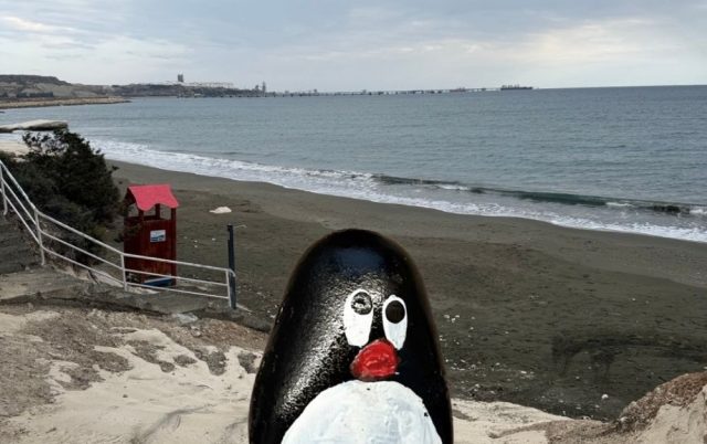 Hand-painted penguin stone #898 hidden at Governor's Beach, Cyprus