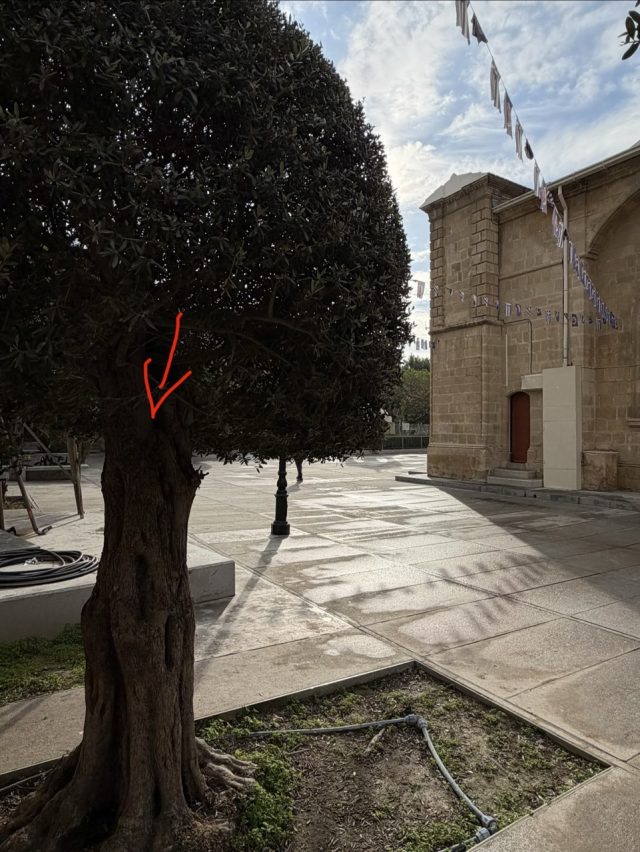 Hand-painted penguin stone #912 hidden at Church of Panayias Phaneromenis, Nicosia, Cyprus (photo 2 of 5)