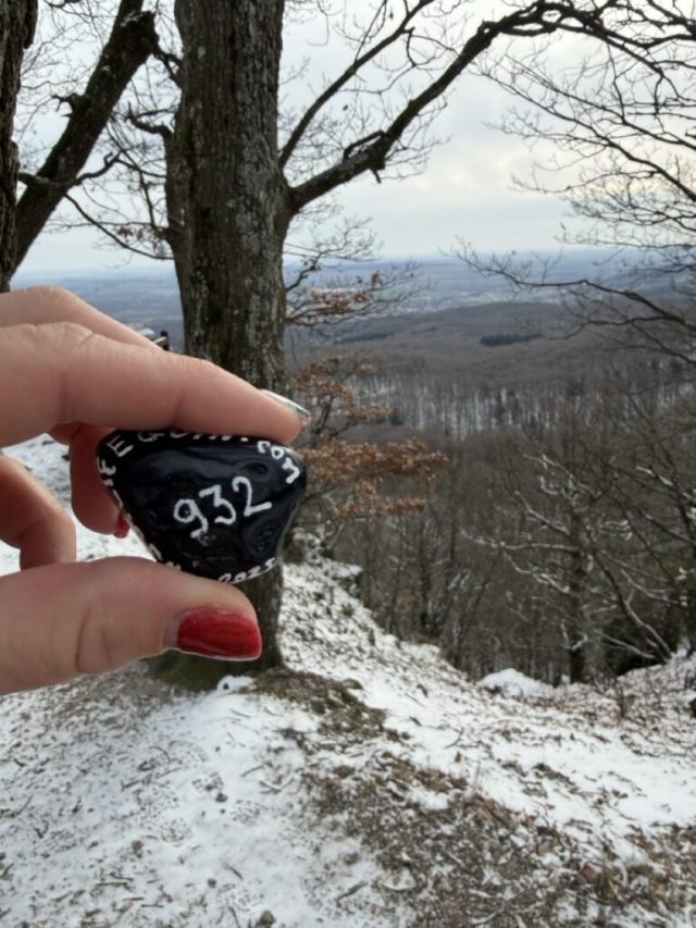 Hand-painted penguin stone #932 hidden at Zamcisko, Little Carpathians, Slovakia (photo 2 of 5)