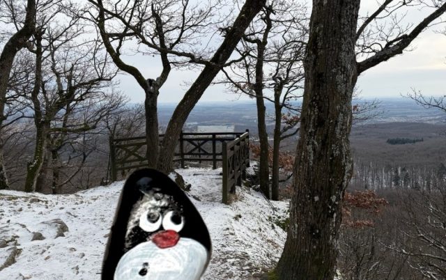Hand-painted penguin stone #932 hidden at Zamcisko, Little Carpathians, Slovakia