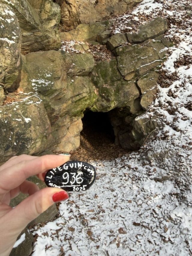 Hand-painted penguin stone #936 hidden at Hohle, Little Carpathians, Slovakia (photo 3 of 5)