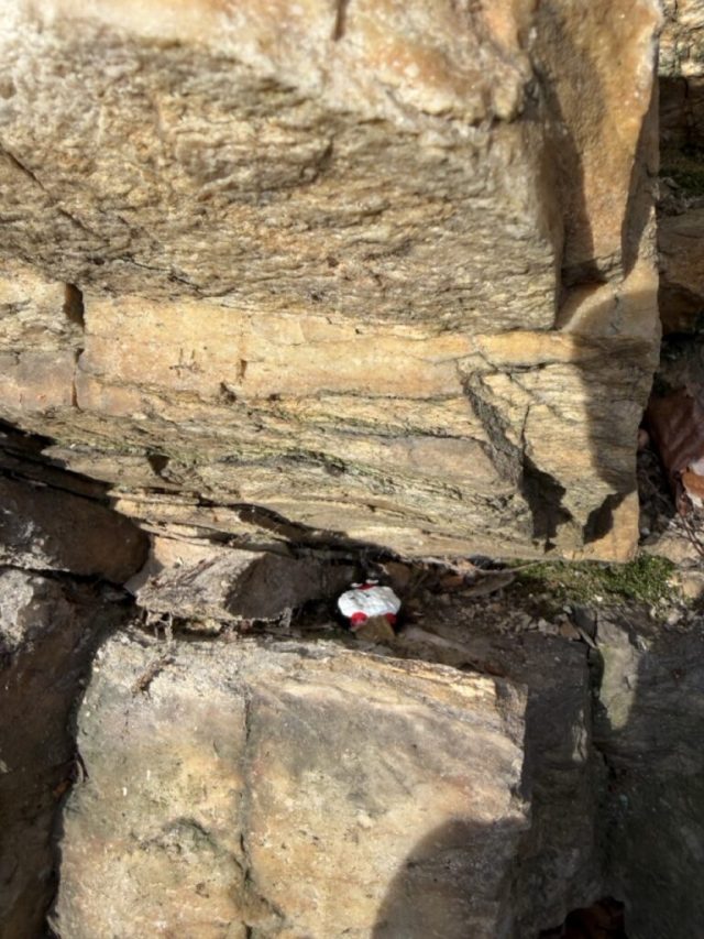 Hand-painted penguin stone #936 hidden at Hohle, Little Carpathians, Slovakia (photo 4 of 5)