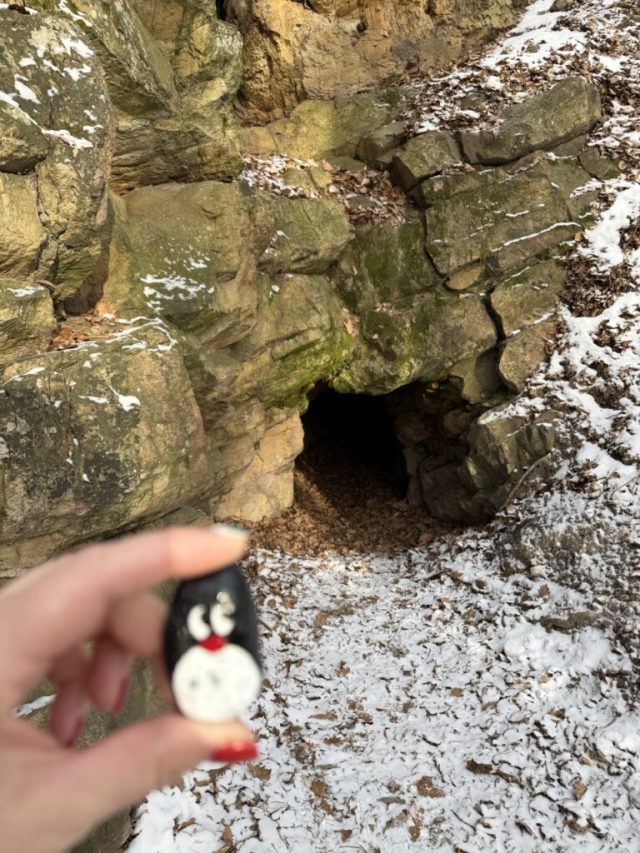 Hand-painted penguin stone #936 hidden at Hohle, Little Carpathians, Slovakia (photo 5 of 5)
