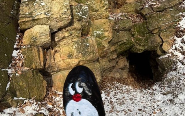 Hand-painted penguin stone #936 hidden at Hohle, Little Carpathians, Slovakia