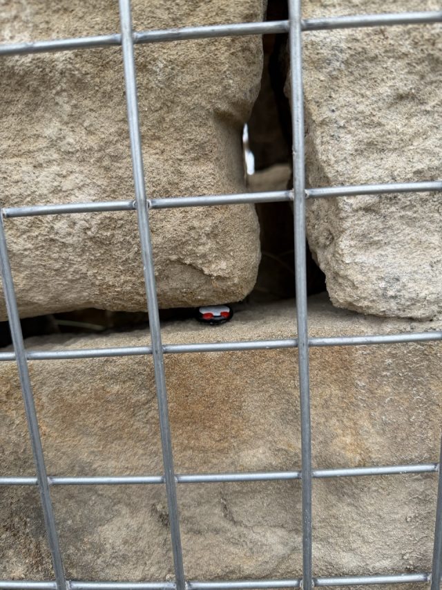 Hand-painted penguin stone #940 hidden at Kalavasos Sign, Kalavasos, Cyprus (photo 4 of 5)