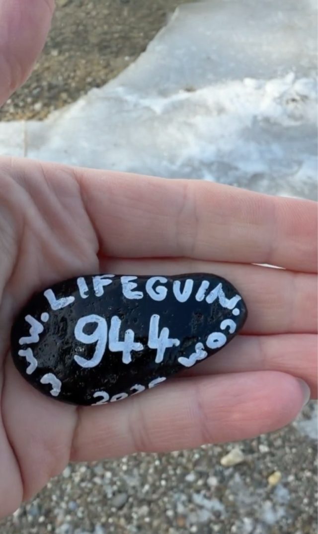 Hand-painted penguin stone #944 hidden at Zlate Piesky, Bratislava, Slovakia (photo 4 of 5)