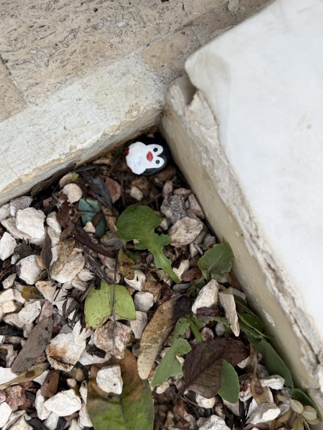 Hand-painted penguin stone #948 hidden at The Liberty Monument, Nicosia, Cyprus (photo 2 of 5)
