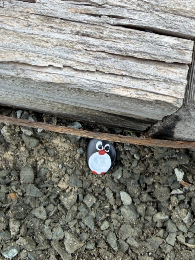 Hand-painted penguin stone #954 hidden at Panagia Galaktotrofousa, Kofinou, Cyprus (photo 5 of 5)