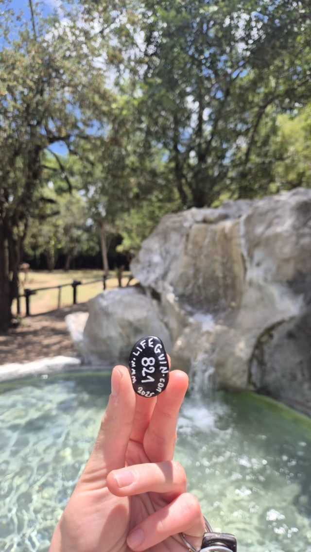 Hand-painted penguin stone #821 hidden at Shiduli Safari Lodge, Kruger National Park, South Africa (photo 4 of 5)