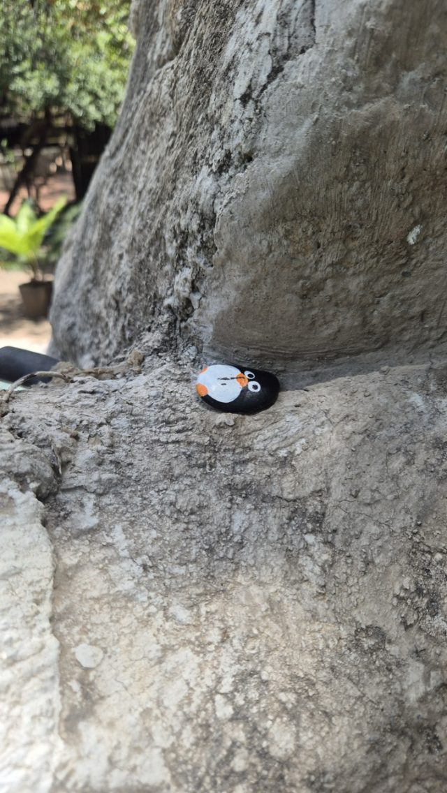 Hand-painted penguin stone #821 hidden at Shiduli Safari Lodge, Kruger National Park, South Africa (photo 5 of 5)