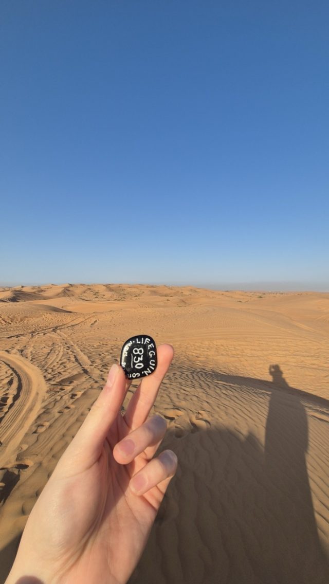 Hand-painted penguin stone #830 hidden at Middle of desert, Bassata Village, United Arab Emirates (photo 2 of 4)