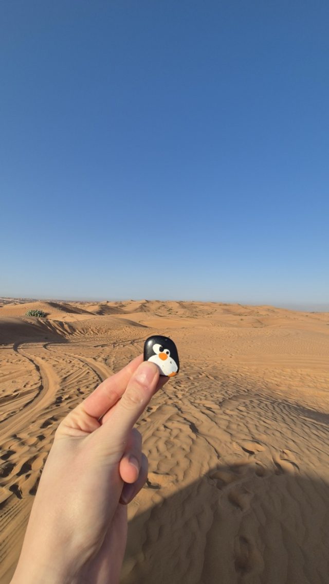 Hand-painted penguin stone #830 hidden at Middle of desert, Bassata Village, United Arab Emirates (photo 3 of 4)