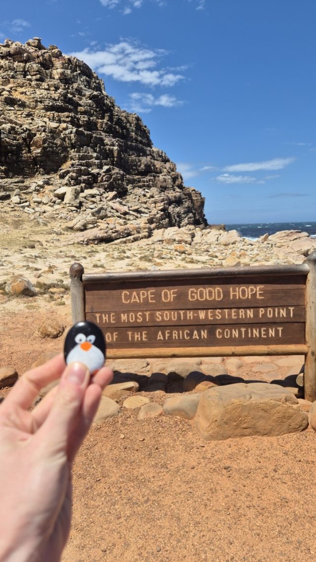 Hand-painted penguin stone #862 hidden at Cape of Good Hope, Cape Town, South Africa (photo 2 of 3)