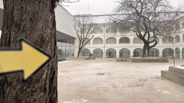 Hand-painted penguin stone #896 hidden at Slovak National Gallery, Bratislava, Slovakia (photo 2 of 5)