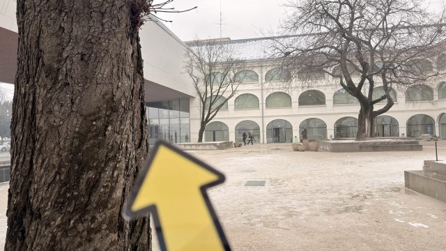 Hand-painted penguin stone #896 hidden at Slovak National Gallery, Bratislava, Slovakia (photo 4 of 5)