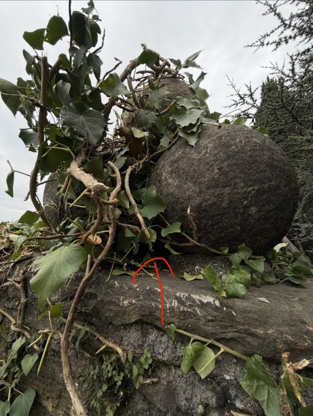 Hand-painted penguin stone #908 hidden at Pezzi di Artiglieria, Bergamo, Italy (photo 2 of 5)
