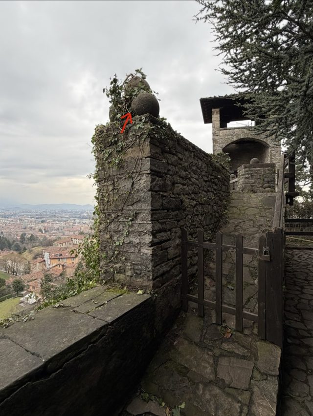Hand-painted penguin stone #908 hidden at Pezzi di Artiglieria, Bergamo, Italy (photo 3 of 5)