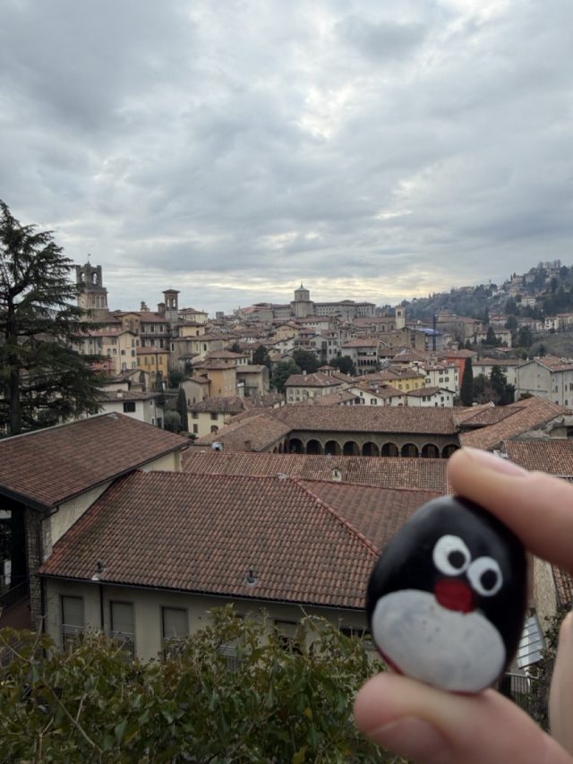 Hand-painted penguin stone #916 hidden at Parco della Rocca e Fauna Orobica, Bergamo, Italy (photo 4 of 5)