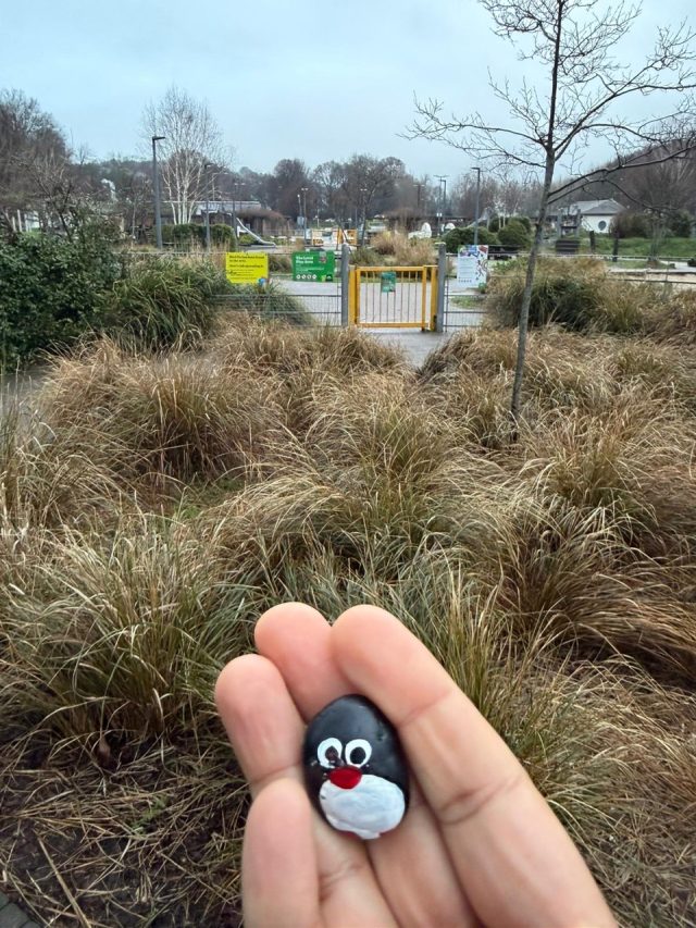 Hand-painted penguin stone #952 hidden at The Level, Brighton, United Kingdom (photo 4 of 5)