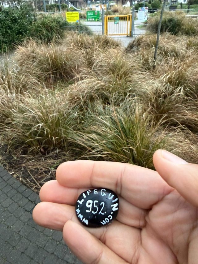 Hand-painted penguin stone #952 hidden at The Level, Brighton, United Kingdom (photo 5 of 5)