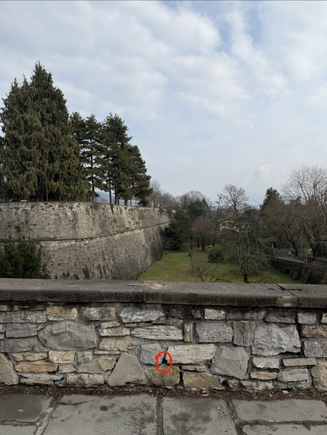 Hand-painted penguin stone #984 hidden at Saint Augustine Gate, Bergamo, Italy (photo 2 of 5)