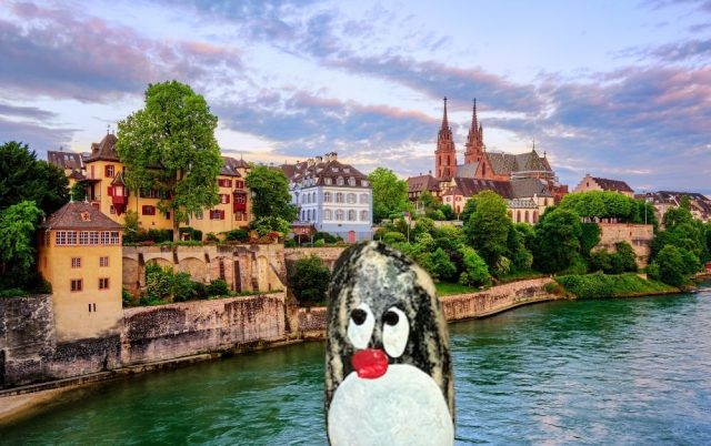 Hand-painted penguin stone #1416 hidden at Tree at Elisabethenanlage Park, Basel, Switzerland