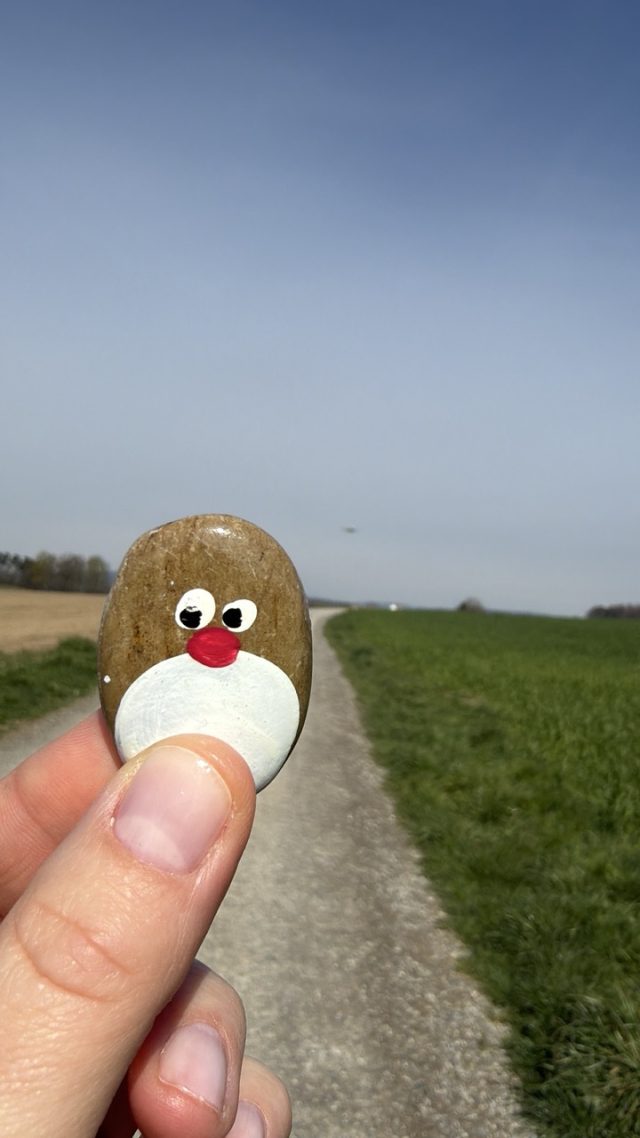 Hand-painted penguin stone #1451 hidden at Aussichtspunkt Flughafen Zurich, Near Zurich Airport, Switzerland (photo 2 of 5)