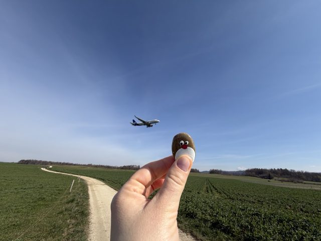 Hand-painted penguin stone #1451 hidden at Aussichtspunkt Flughafen Zurich, Near Zurich Airport, Switzerland (photo 3 of 5)