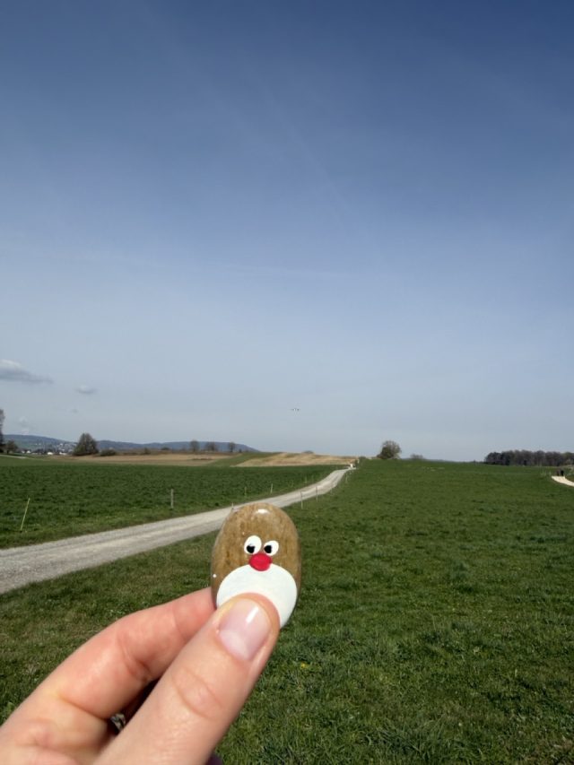 Hand-painted penguin stone #1451 hidden at Aussichtspunkt Flughafen Zurich, Near Zurich Airport, Switzerland (photo 4 of 5)