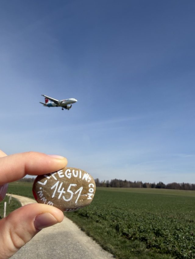 Hand-painted penguin stone #1451 hidden at Aussichtspunkt Flughafen Zurich, Near Zurich Airport, Switzerland (photo 5 of 5)