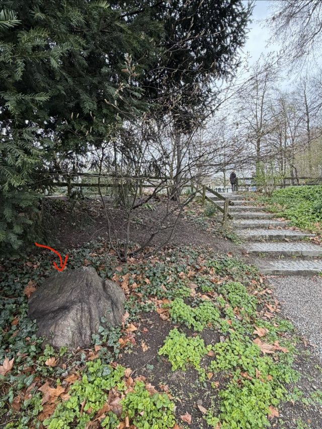 Hand-painted penguin stone #1460 hidden at Platzspitz, Zurich, Switzerland (photo 2 of 5)