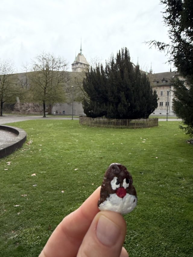 Hand-painted penguin stone #1460 hidden at Platzspitz, Zurich, Switzerland (photo 3 of 5)