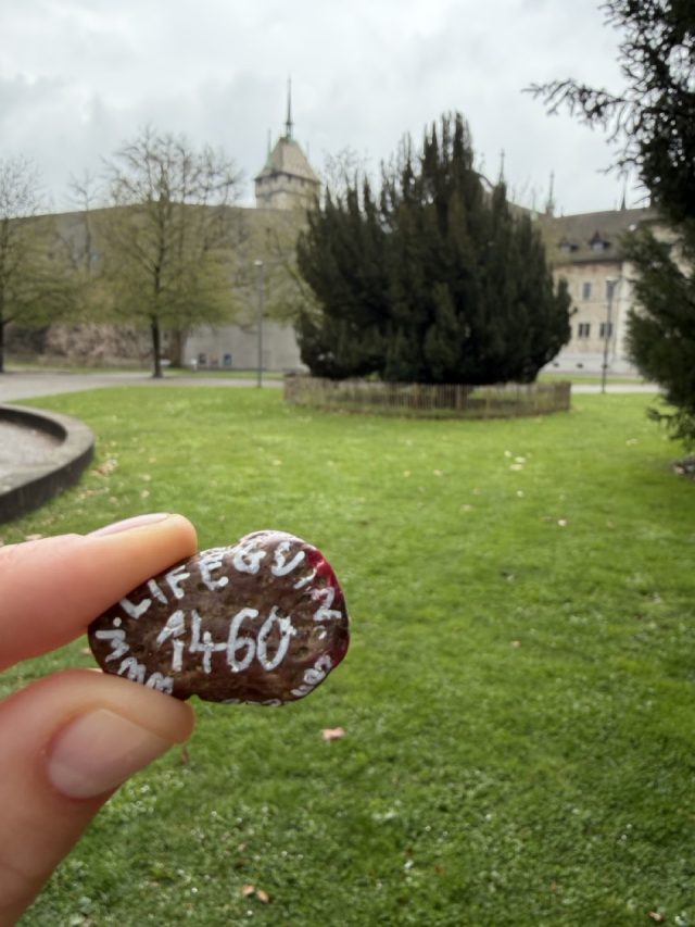 Hand-painted penguin stone #1460 hidden at Platzspitz, Zurich, Switzerland (photo 4 of 5)