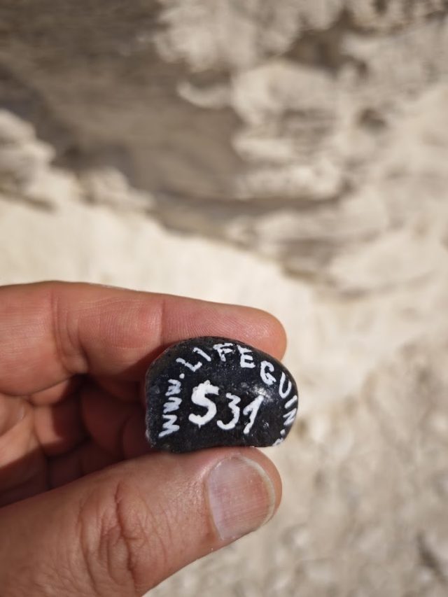Hand-painted penguin stone #531 hidden at Tomb of Merenptah, KV8, Egypt (photo 2 of 5)