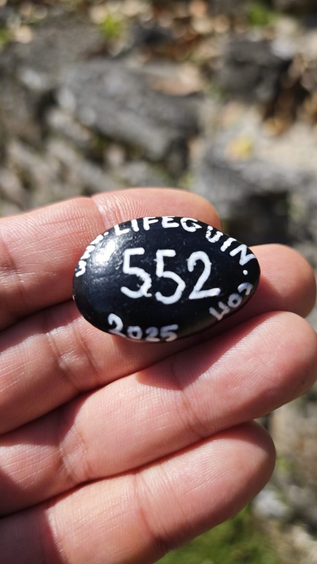 Hand-painted penguin stone #552 hidden at Xunantunich Mayan Ruins, San Jose Succotz, Belize (photo 2 of 5)