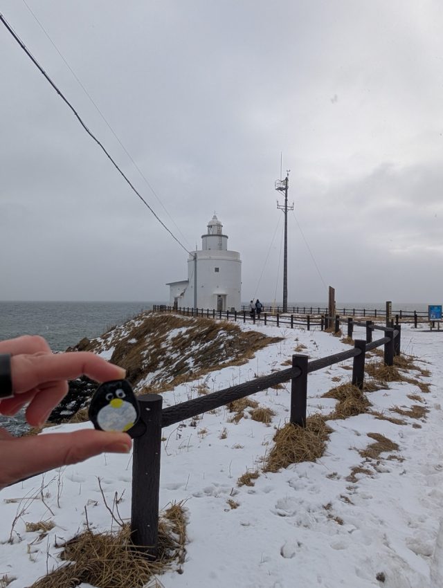 Hand-painted penguin stone #575 hidden at Cape Nosappu, Hokkaido, Japan (photo 3 of 5)