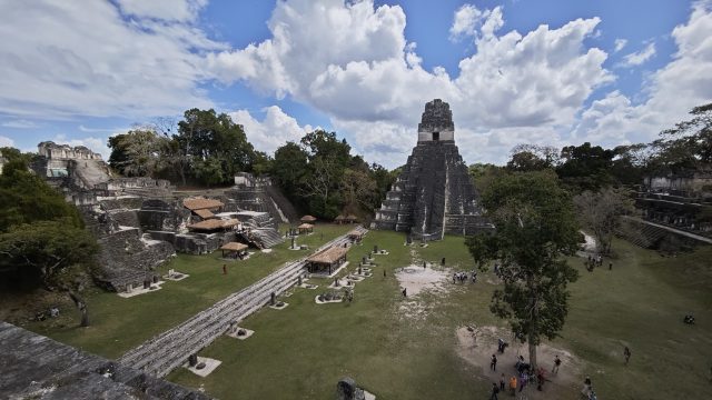 Hand-painted penguin stone #602 hidden at Parque Nacional Tikal, Tikal's Central Plaza, Guatemala (photo 3 of 5)