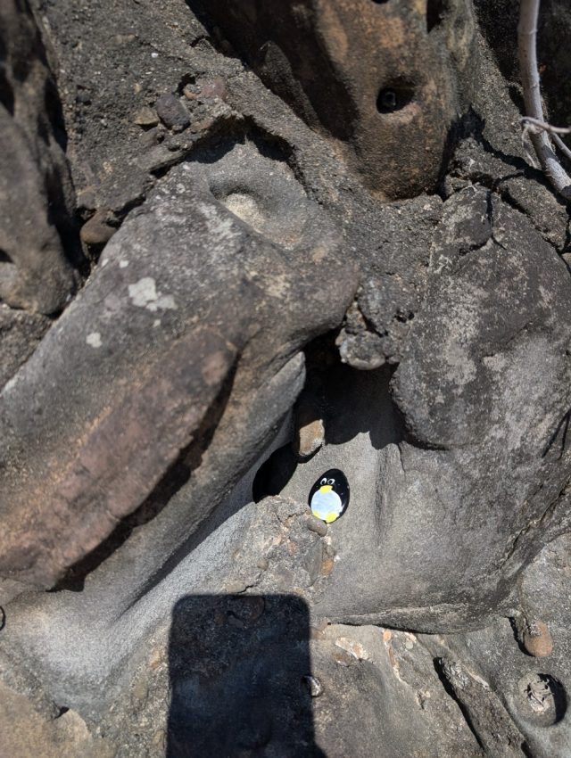 Hand-painted penguin stone #612 hidden at Aoshima Shrine, Miyazaki, Japan (photo 2 of 5)