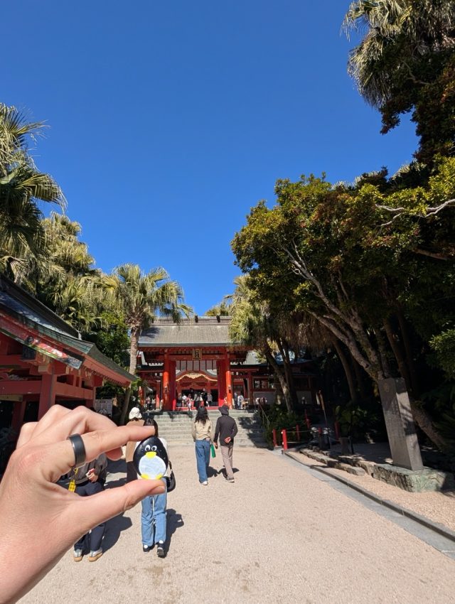 Hand-painted penguin stone #612 hidden at Aoshima Shrine, Miyazaki, Japan (photo 3 of 5)