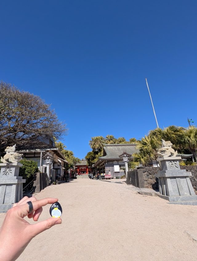 Hand-painted penguin stone #612 hidden at Aoshima Shrine, Miyazaki, Japan (photo 4 of 5)