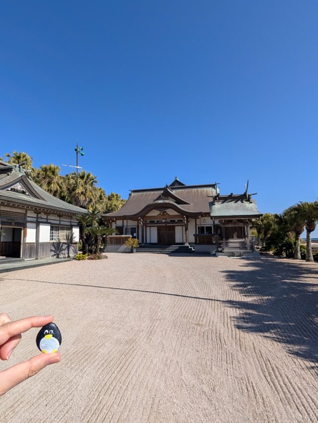 Hand-painted penguin stone #612 hidden at Aoshima Shrine, Miyazaki, Japan (photo 5 of 5)