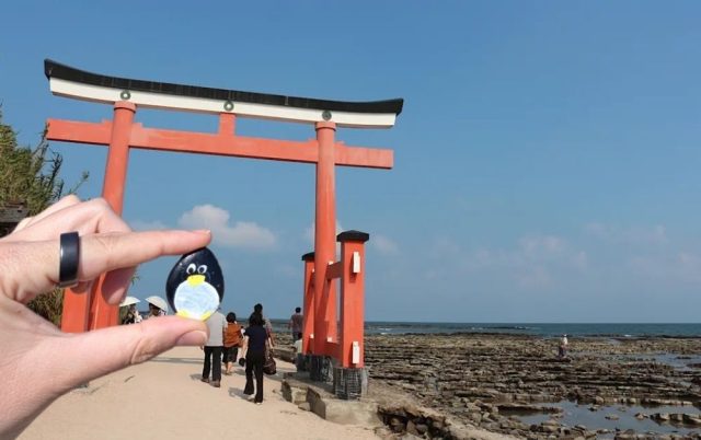 Hand-painted penguin stone #612 hidden at Aoshima Shrine, Miyazaki, Japan
