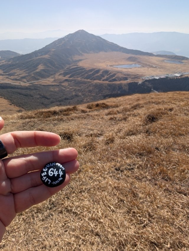 Hand-painted penguin stone #644 hidden at Mt. Kishima, Aso, Japan (photo 4 of 5)