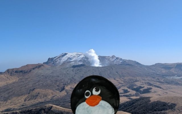 Hand-painted penguin stone #644 hidden at Mt. Kishima, Aso, Japan