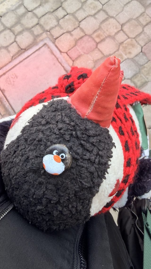 Hand-painted penguin stone #804 hidden at Tree trunk in a small park, Krynica, Poland (photo 2 of 5)