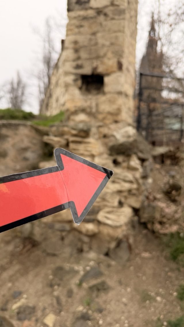 Hand-painted penguin stone #843 hidden at Hledisko Vysehrad, Prague, Czechia (photo 4 of 5)