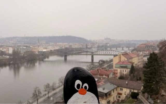 Hand-painted penguin stone #843 hidden at Hledisko Vysehrad, Prague, Czechia