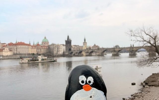 Hand-painted penguin stone #861 hidden at Park Cihelna, Prague, Czechia