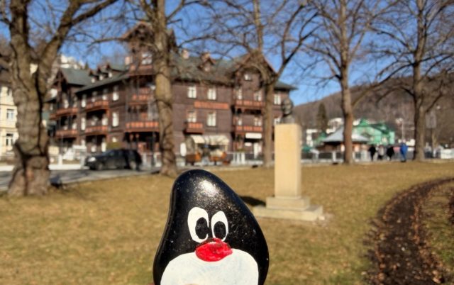 Hand-painted penguin stone #891 hidden at Ogrody Sensoryczne, Krynica, Poland